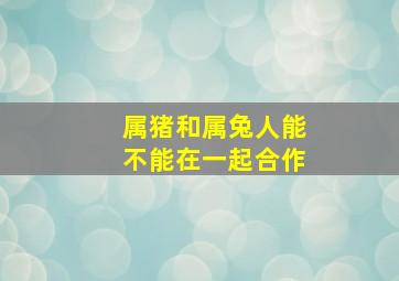 属猪和属兔人能不能在一起合作