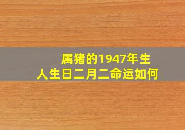 属猪的1947年生人生日二月二命运如何