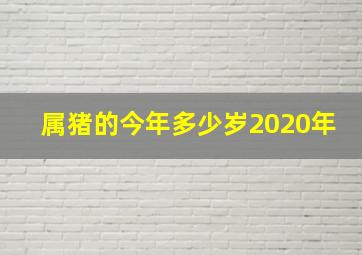 属猪的今年多少岁2020年