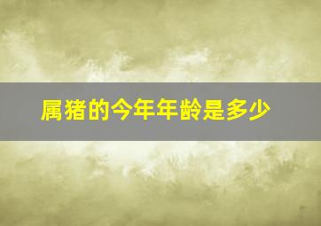 属猪的今年年龄是多少