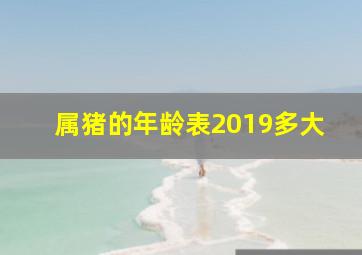 属猪的年龄表2019多大