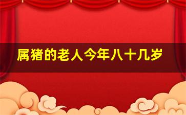 属猪的老人今年八十几岁