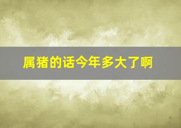 属猪的话今年多大了啊