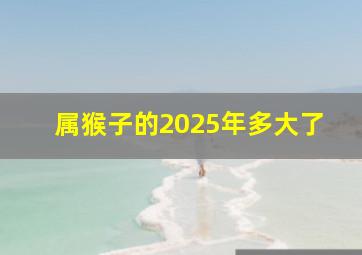 属猴子的2025年多大了