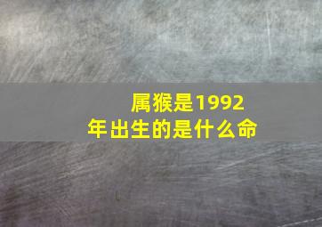 属猴是1992年出生的是什么命