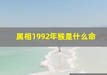 属相1992年猴是什么命