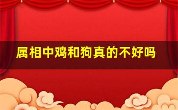 属相中鸡和狗真的不好吗