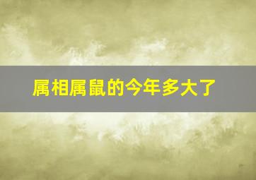 属相属鼠的今年多大了