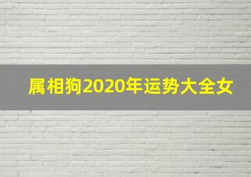 属相狗2020年运势大全女