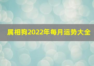 属相狗2022年每月运势大全