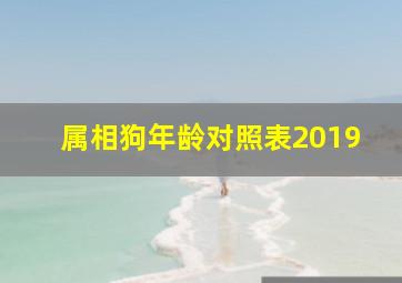 属相狗年龄对照表2019