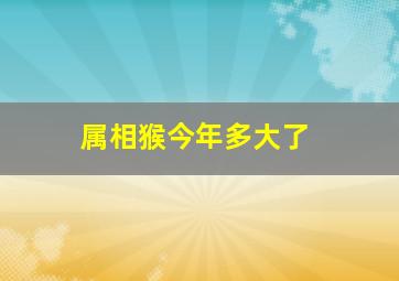 属相猴今年多大了