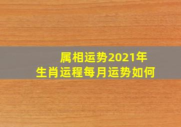 属相运势2021年生肖运程每月运势如何