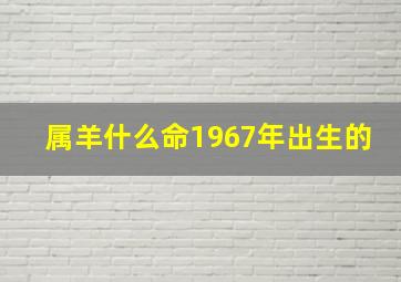 属羊什么命1967年出生的