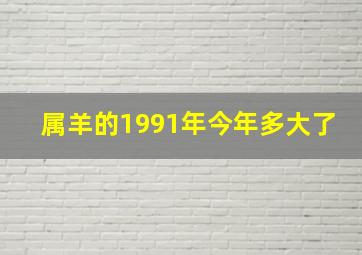 属羊的1991年今年多大了