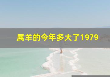 属羊的今年多大了1979