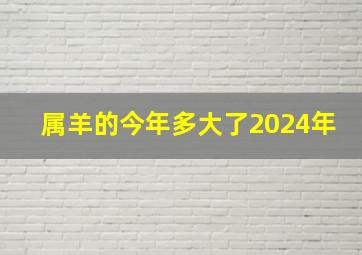 属羊的今年多大了2024年