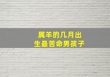 属羊的几月出生最苦命男孩子