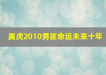 属虎2010男孩命运未来十年