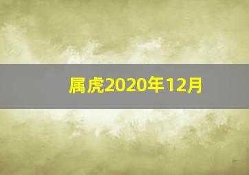 属虎2020年12月