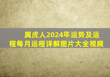 属虎人2024年运势及运程每月运程详解图片大全视频