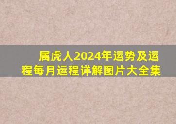 属虎人2024年运势及运程每月运程详解图片大全集