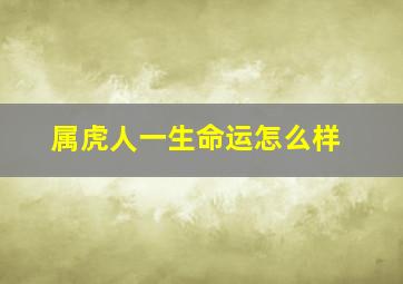 属虎人一生命运怎么样