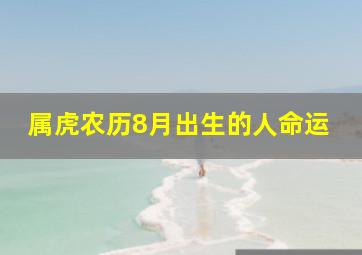 属虎农历8月出生的人命运