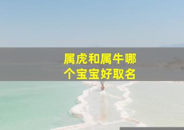 属虎和属牛哪个宝宝好取名