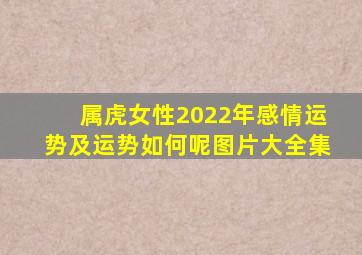 属虎女性2022年感情运势及运势如何呢图片大全集