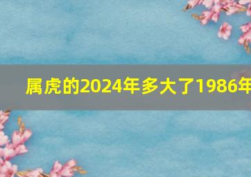 属虎的2024年多大了1986年