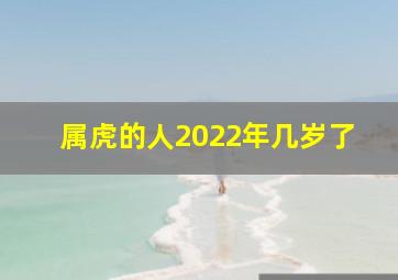 属虎的人2022年几岁了