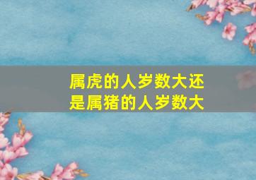 属虎的人岁数大还是属猪的人岁数大