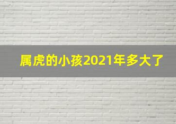 属虎的小孩2021年多大了