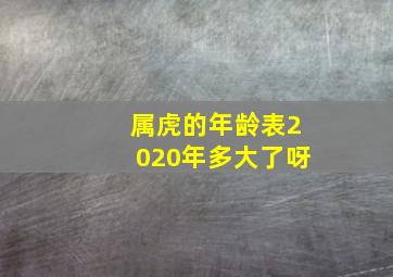 属虎的年龄表2020年多大了呀