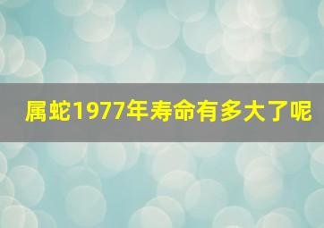 属蛇1977年寿命有多大了呢