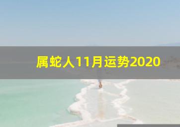 属蛇人11月运势2020