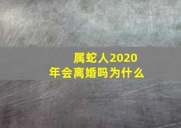 属蛇人2020年会离婚吗为什么