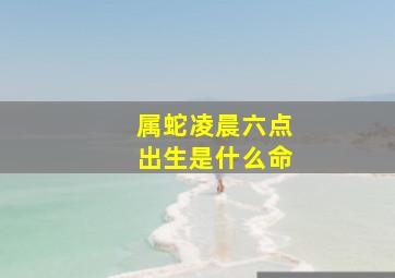 属蛇凌晨六点出生是什么命