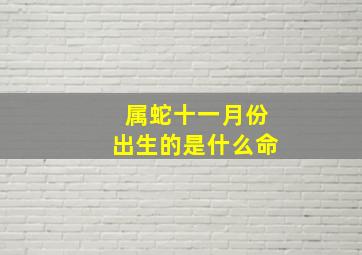 属蛇十一月份出生的是什么命