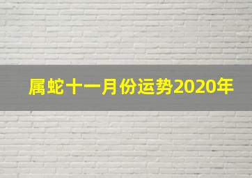 属蛇十一月份运势2020年