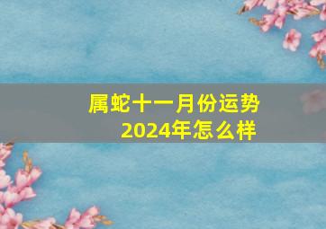 属蛇十一月份运势2024年怎么样