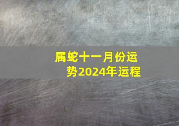 属蛇十一月份运势2024年运程