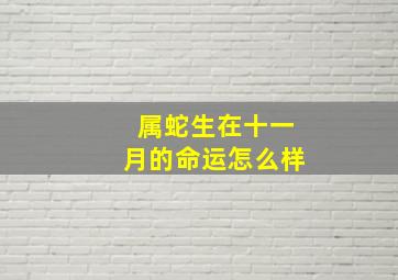 属蛇生在十一月的命运怎么样