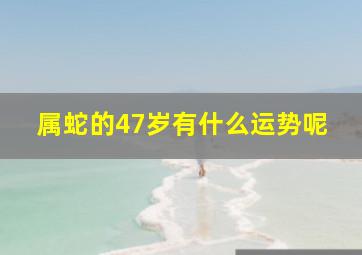 属蛇的47岁有什么运势呢