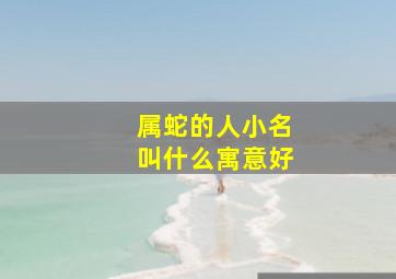 属蛇的人小名叫什么寓意好