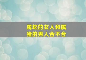 属蛇的女人和属猪的男人合不合