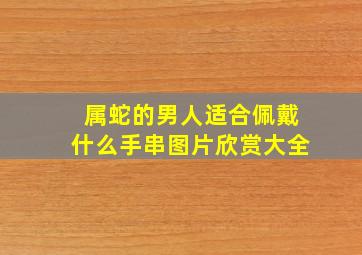 属蛇的男人适合佩戴什么手串图片欣赏大全