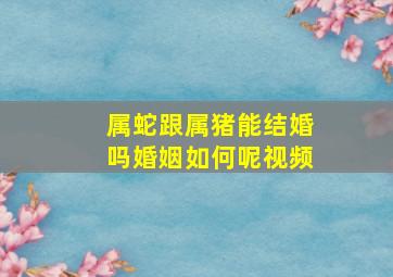 属蛇跟属猪能结婚吗婚姻如何呢视频