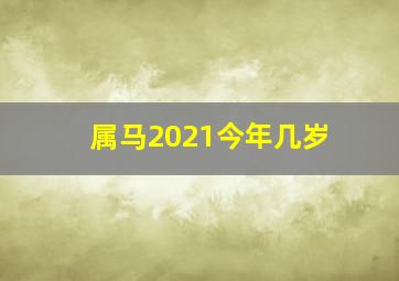 属马2021今年几岁